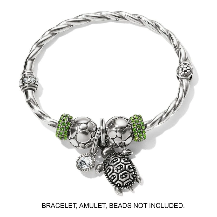 Pismo Turtle Charm - Image 3